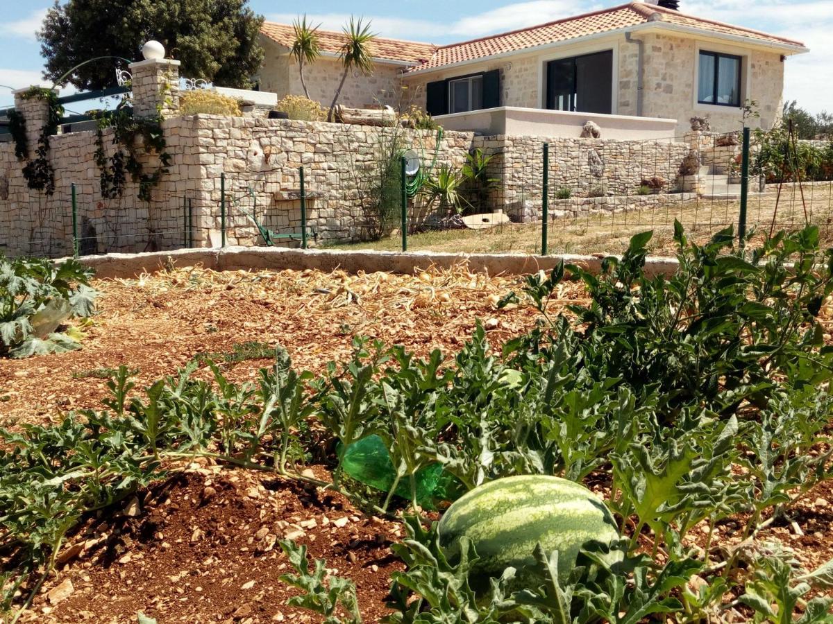 Villa Little Hill Postira Bagian luar foto